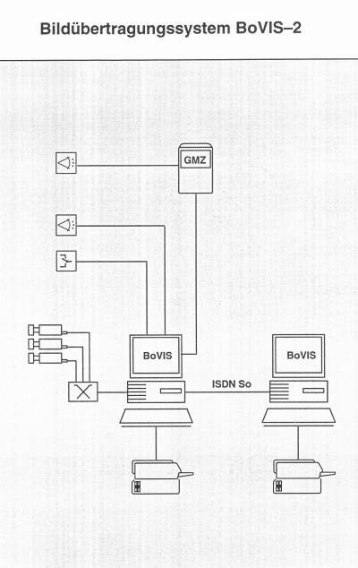 bovis-2.jpg